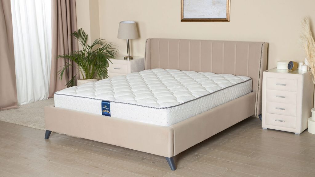 sanders_7.jpeg